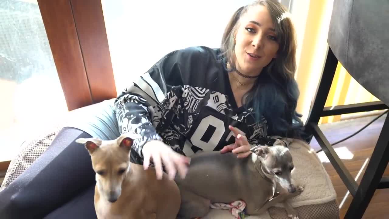 My Dogs Meet A Cat