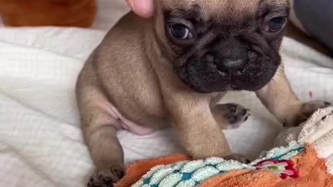 Playtime is the best time!