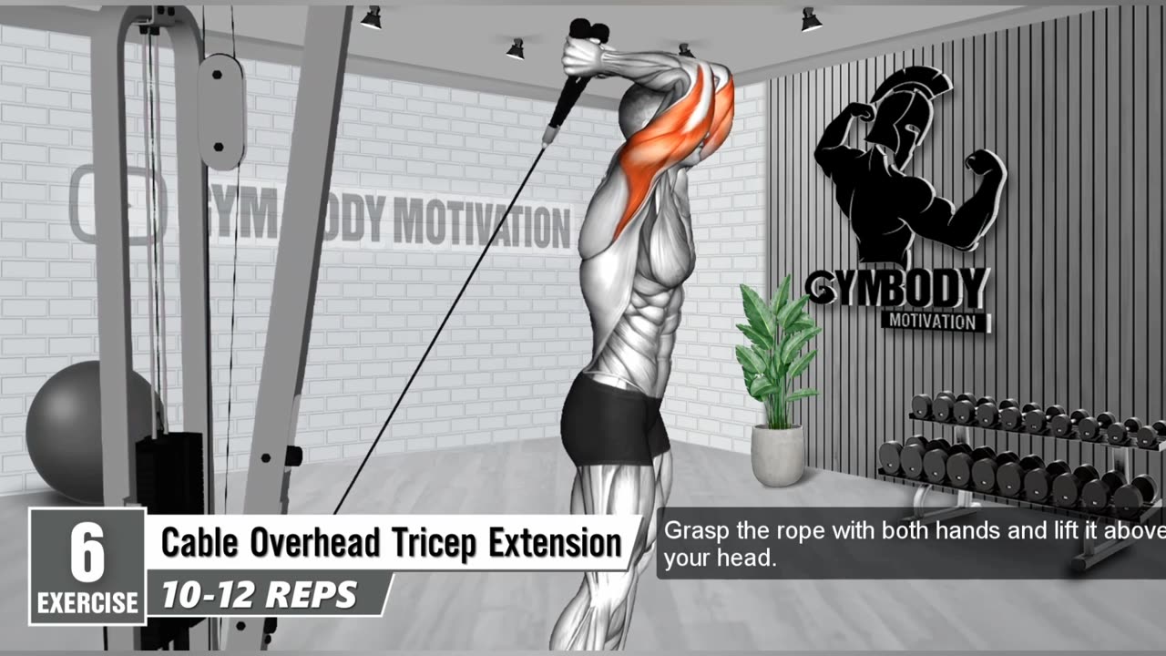 Triceps Workout At Gym - 8 Best unique Exercise For Triceps - GYM BODY MOTIVATION.