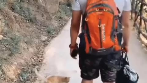 Pets Need Attention From Daddy 😂🥰😍