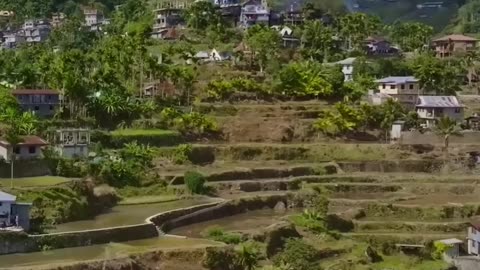 Exploring the Majestic Mayu Yao Rice Terraces: A Culinary and Cultural Adventure
