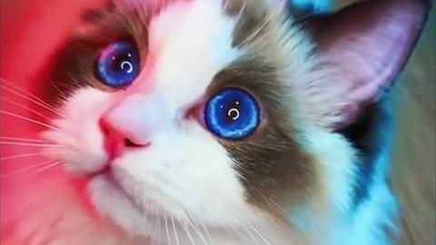 Deep blue eyes
