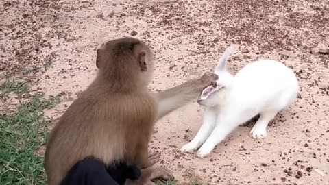 funny videos 😂🤣🤣🤣