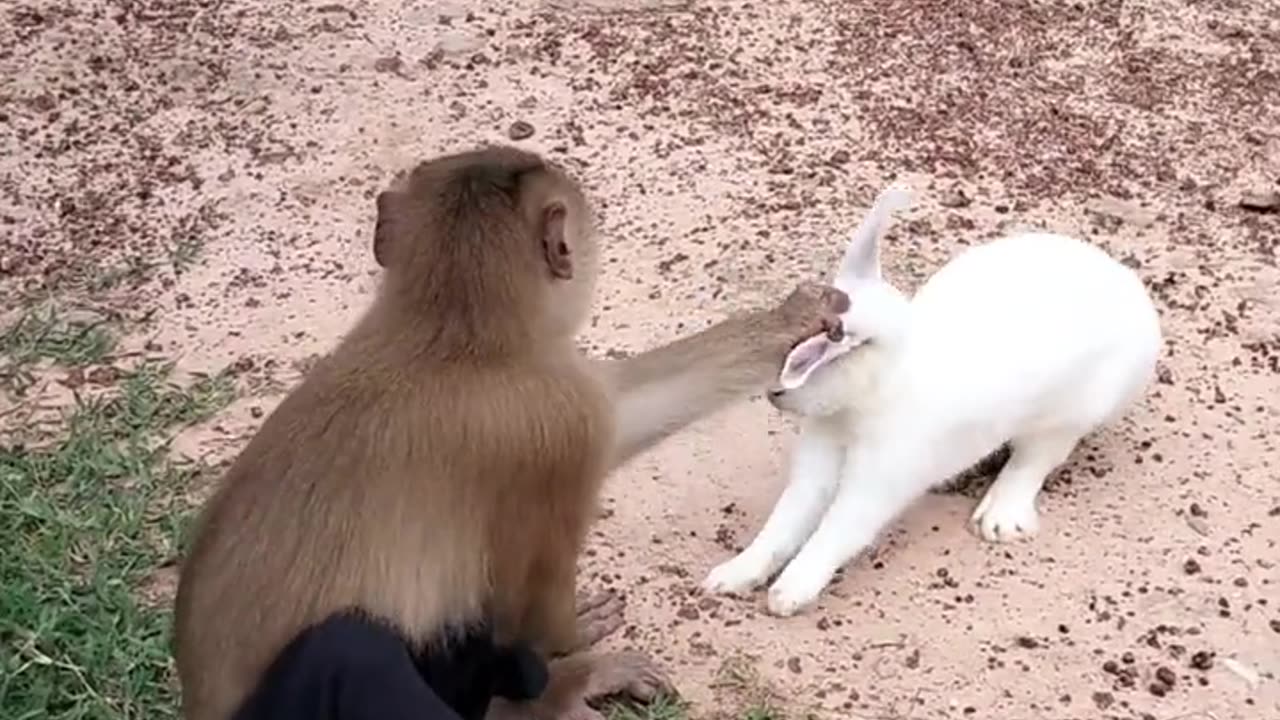 funny videos 😂🤣🤣🤣