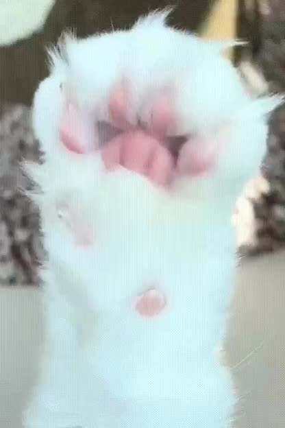 Taking off your socks after a hard day's work