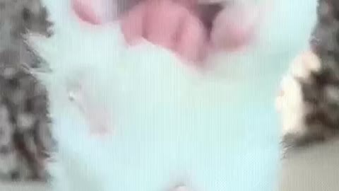 Taking off your socks after a hard day's work