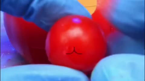 tomato giving 3 babies in C section //one follow please