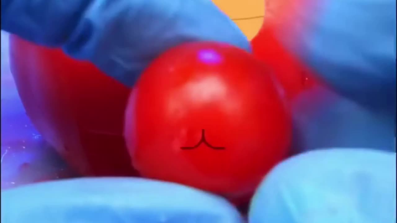 tomato giving 3 babies in C section //one follow please