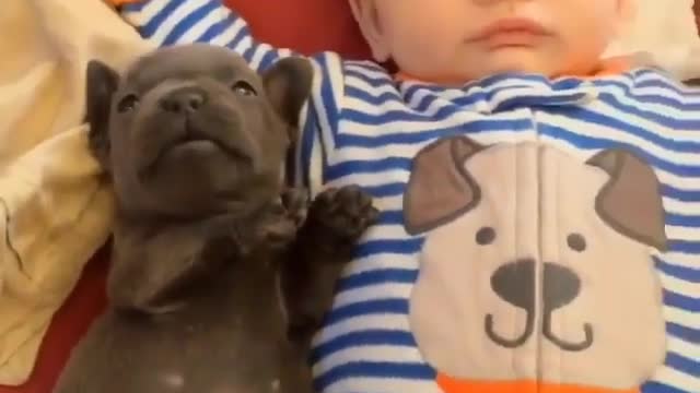 Baby and dog