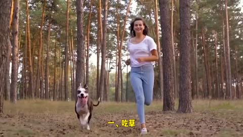 Interpretation of confused dog behavior, interpretation of strange dog behavior