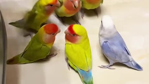 Union workplace safety meeting