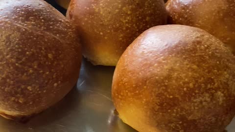 Vegan aperitif milk sandwiches