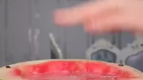 Watermelon and I will be there for you