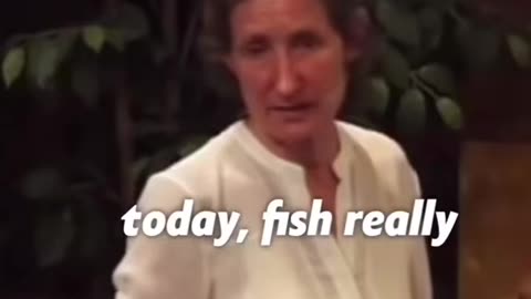 Fish No Longer Safe? Only 2 Oils Worth Using? What Else?