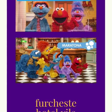 furchester hotel-3.mp4