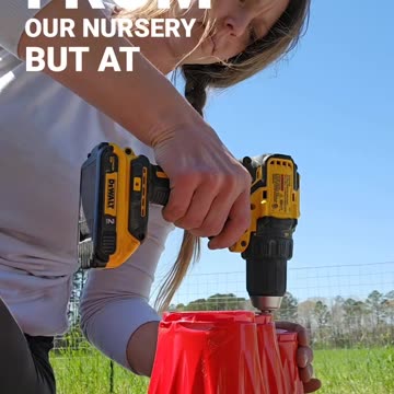 Best Way To Germinate Peppers!!!