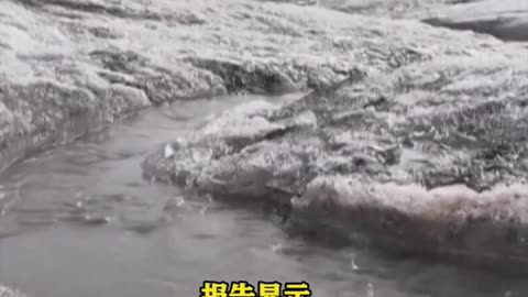 The World Meteorological Organization expects sea