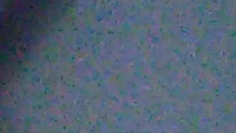 Faltu song Jabrsat video