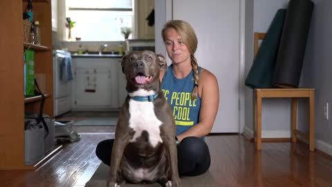 Watch how I meditate my dog.