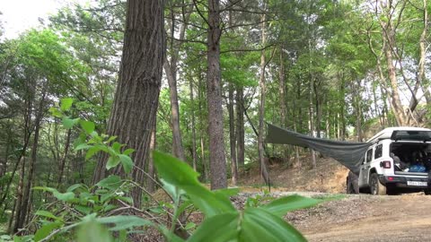 The beauty makes a meal in the outdoor camp alone, and has some cocktails. It's relaxing and comfort