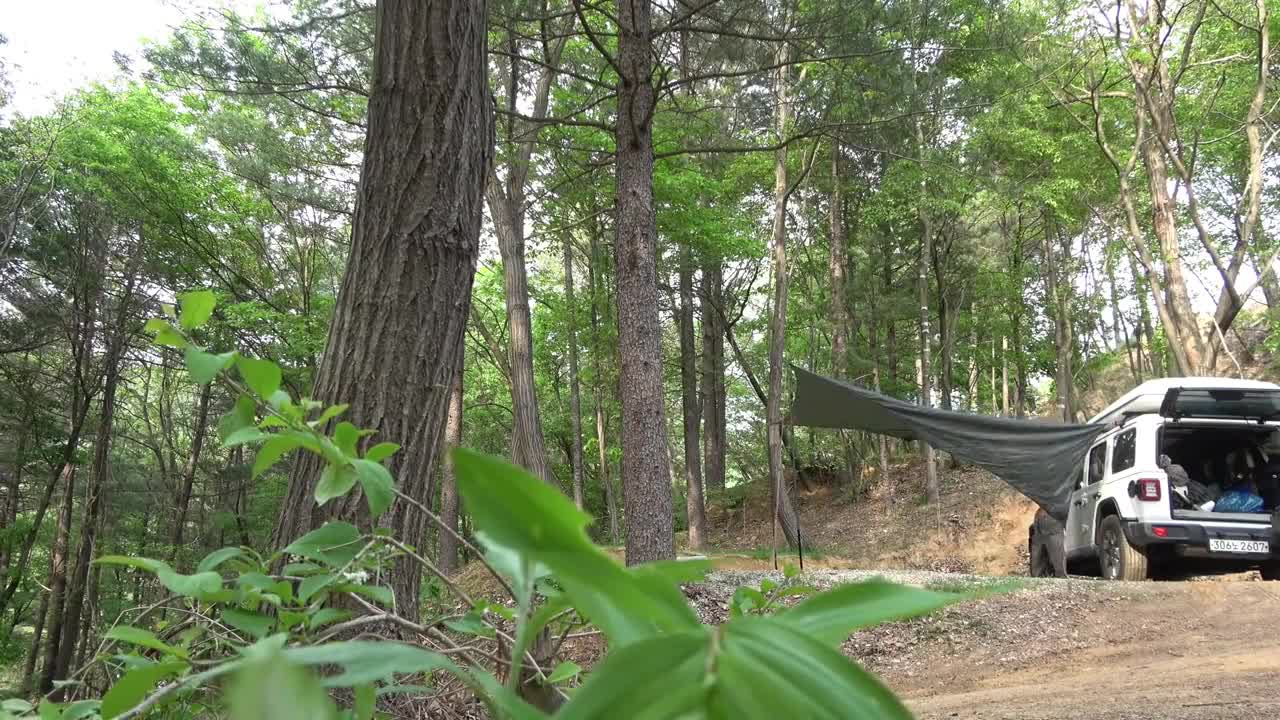 The beauty makes a meal in the outdoor camp alone, and has some cocktails. It's relaxing and comfort