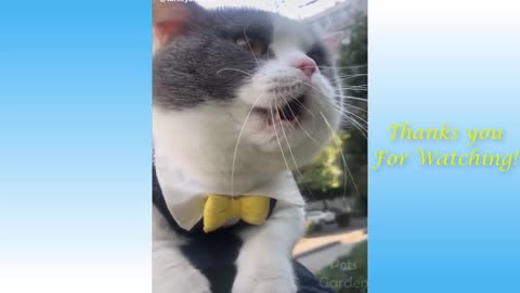 Cute and funny