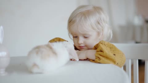 A little girl looking at a bunny