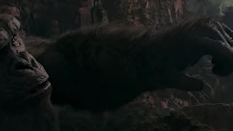 Godzilla vs Kong new episode shorts