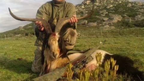 Argentina Big Game & Bird hunting