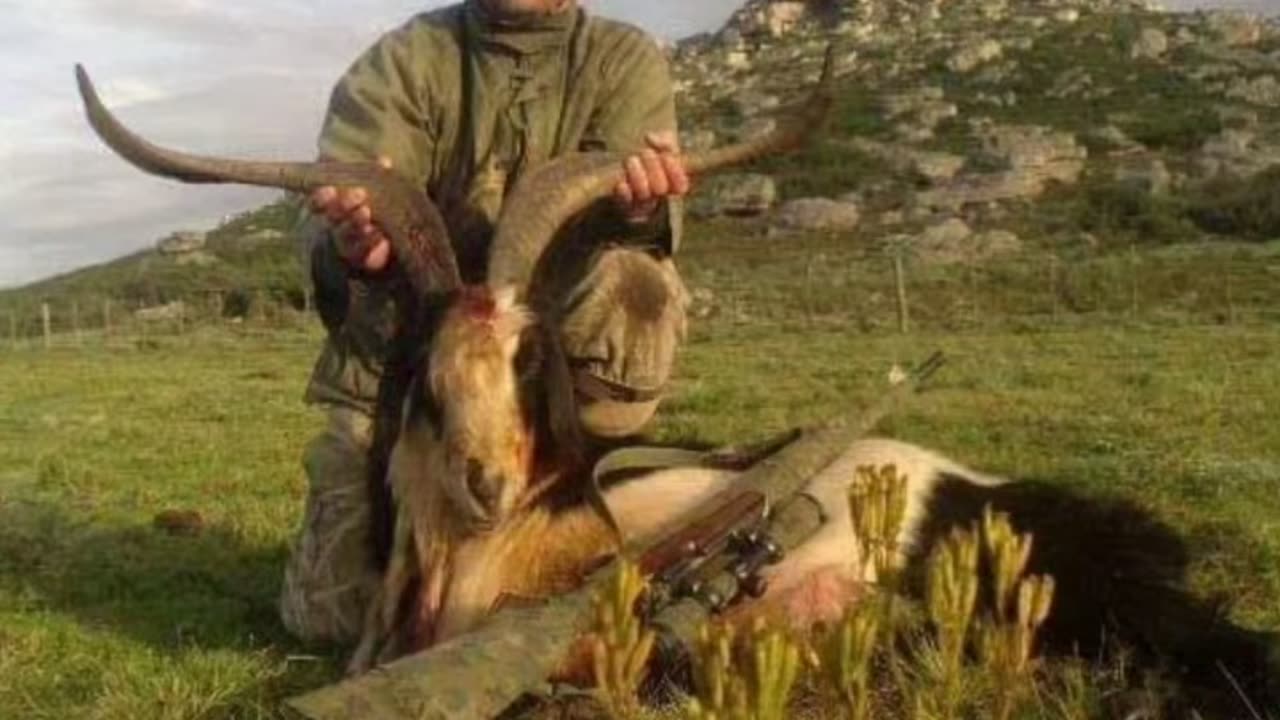 Argentina Big Game & Bird hunting