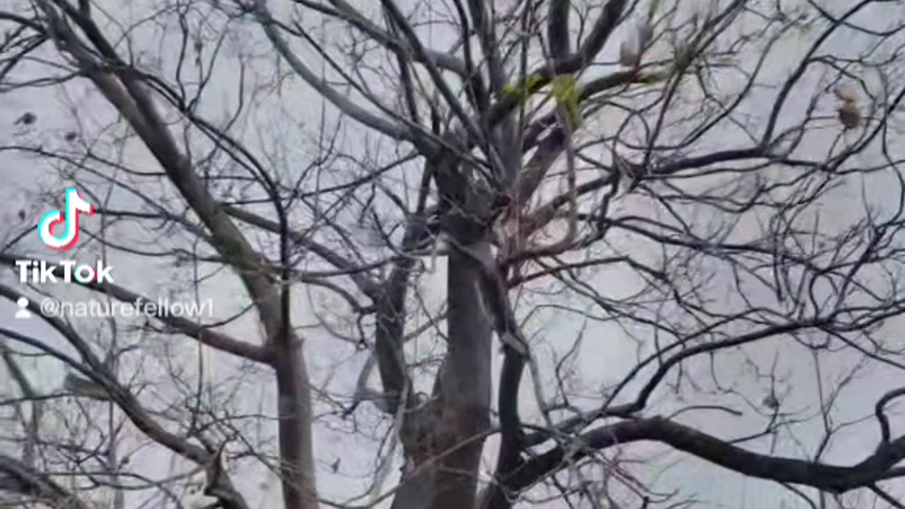 Glimpse of rainfall