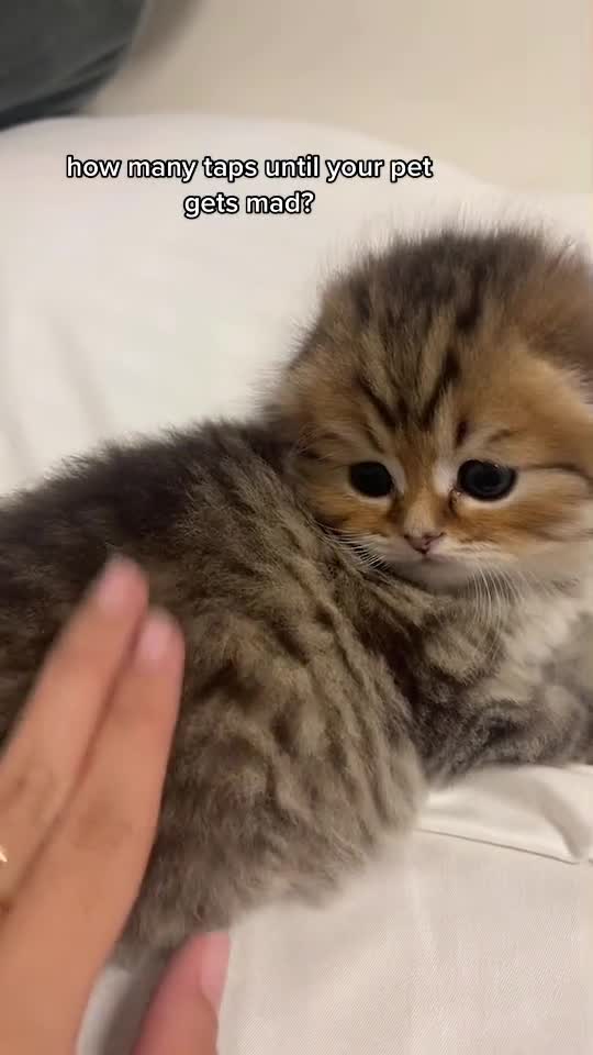 old trend but it's cute sooo