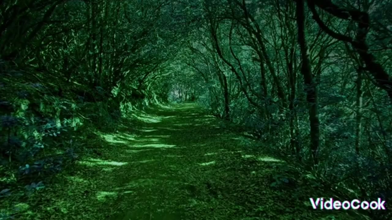 Relaxing Music | Sleeping, Meditation, Stress Relief | [7760] ⭐️