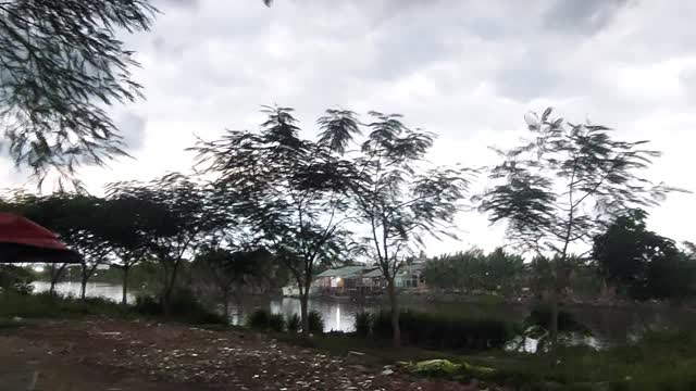 Chiều bên dòng sông