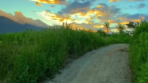 "The evening sun is especially gentle