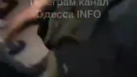 In Odessa, the Ukrainian Commander of Defense was Caught in an Orgy with a Transvestite