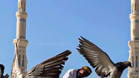 Islamic vide| best motivational video