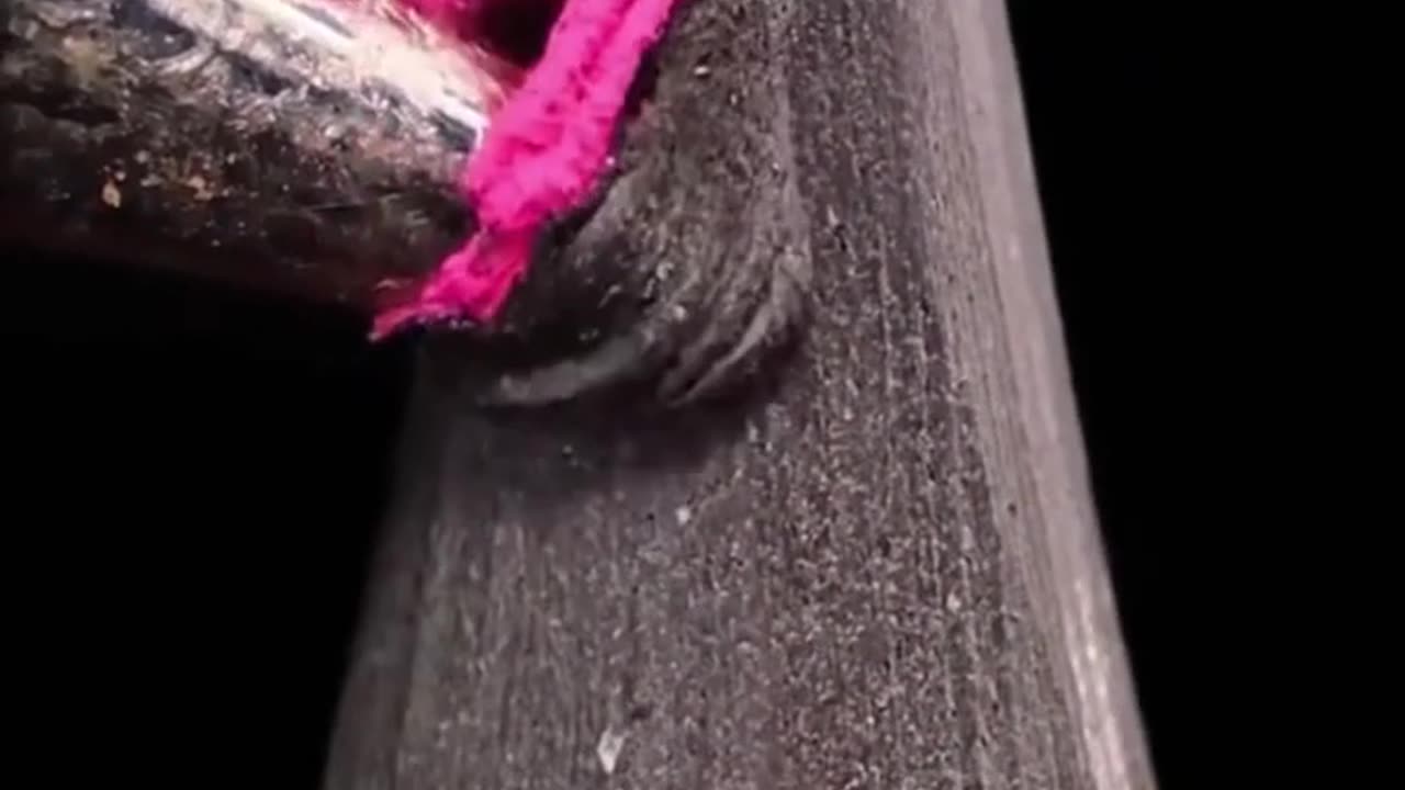 Most satisfying video on earth (no music )