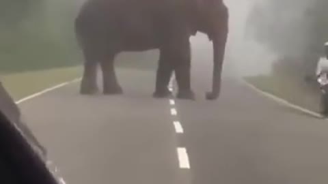 An awkward moment
