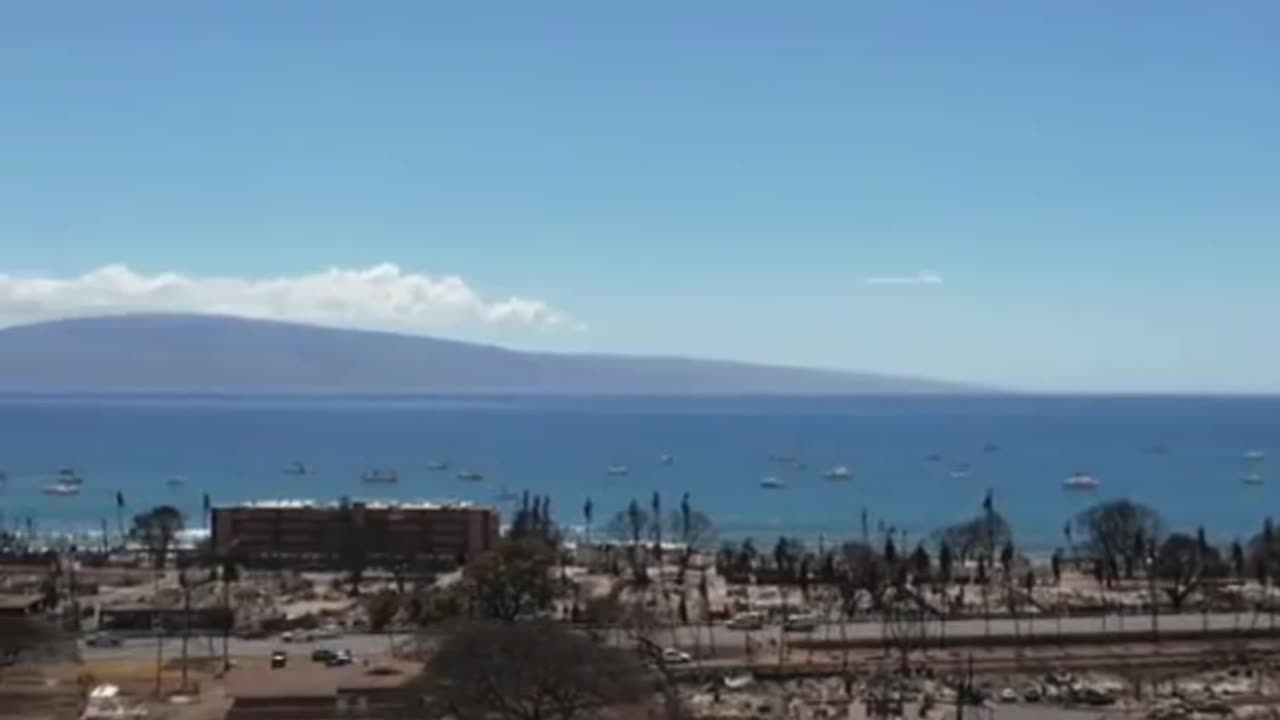 The Lahaina Massacre