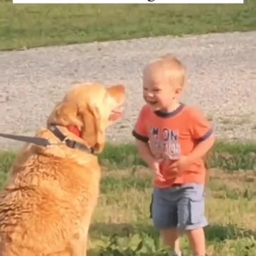 When i see a dog😂😍