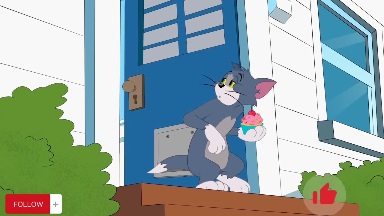 Tom & Jerry | Tom and Jerry at Home | Cartoon,,