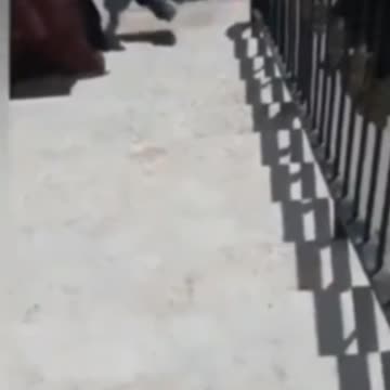 Just IDF defending themselves from the dangerous terrorist child