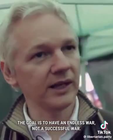 Julian Assange "The GOAL is to have an ENDLESS WAR, NOT a SUCCESSFUL WAR"