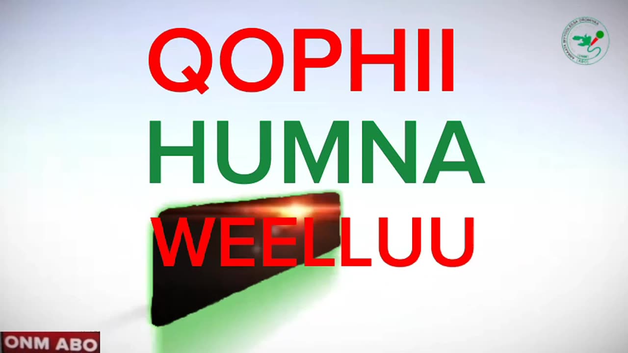 Qophii Humna weelluu ONM-ABO Adoolessa 30-2024 itti dhiyaadjaa!