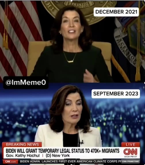 💩THE STATUE OF LIBERALS🗽