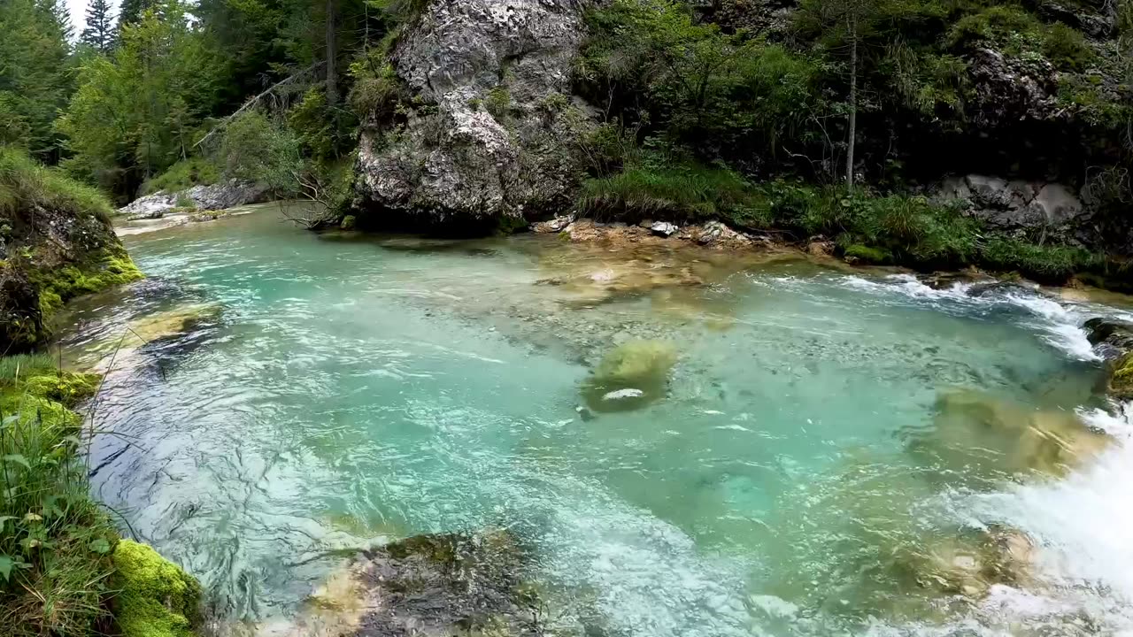 Forest nature waterfall