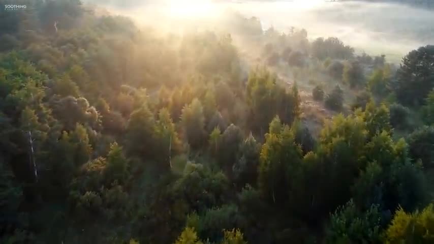 Sunny Mornings by Peder B