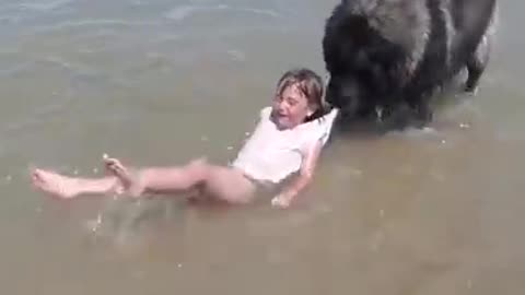 Dog save the child in the beach Amazing 😍🤩