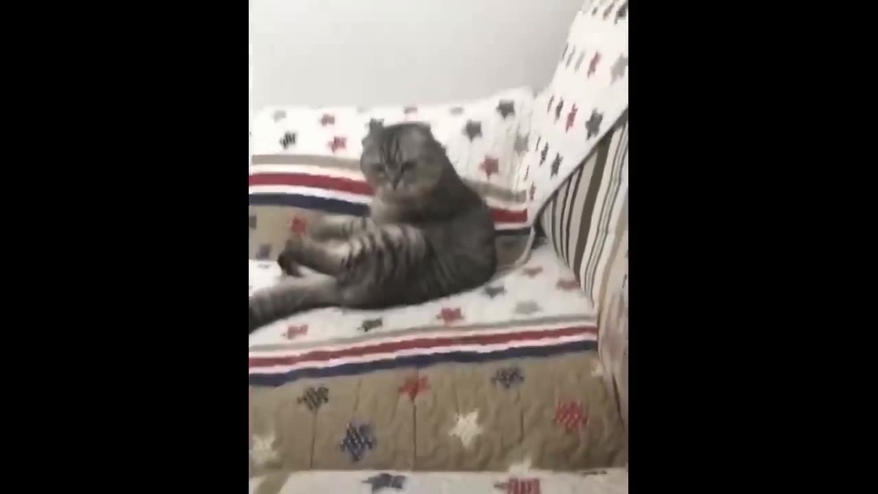 Funniest Moments Compilation part 2